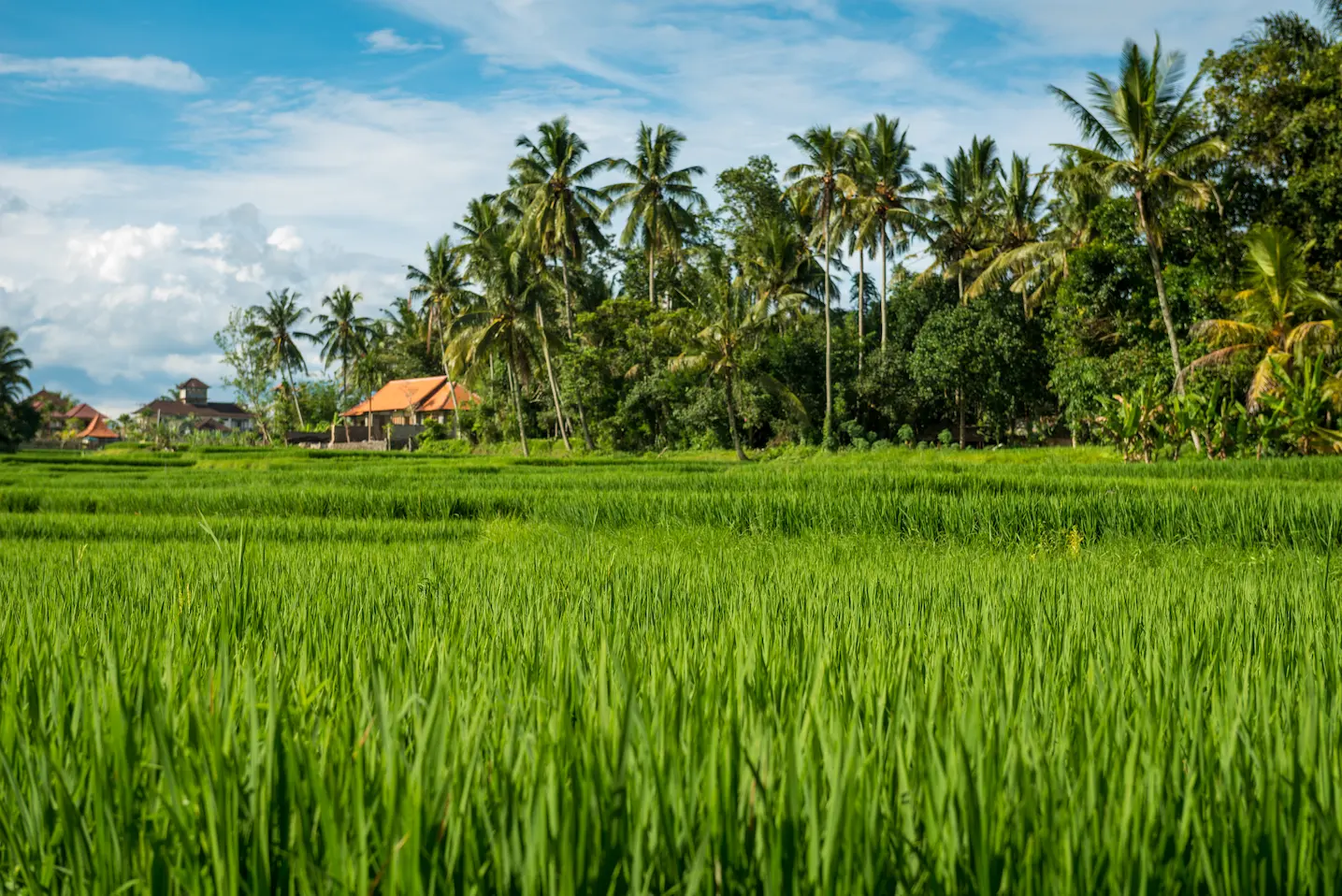 Farmland for sale near Chennai with integrated farming